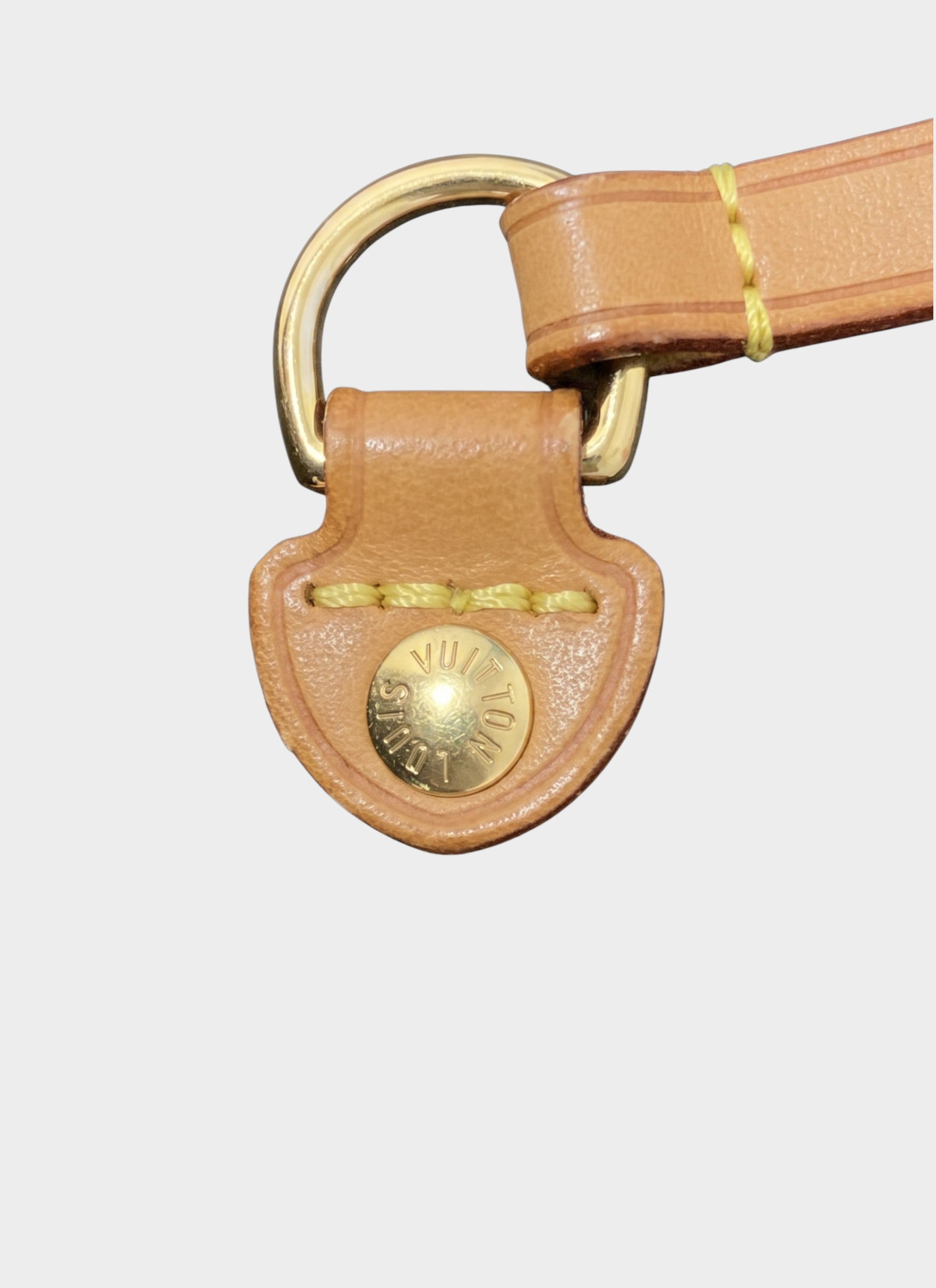 Louis Vuitton Monogram Neverfull MM Bag