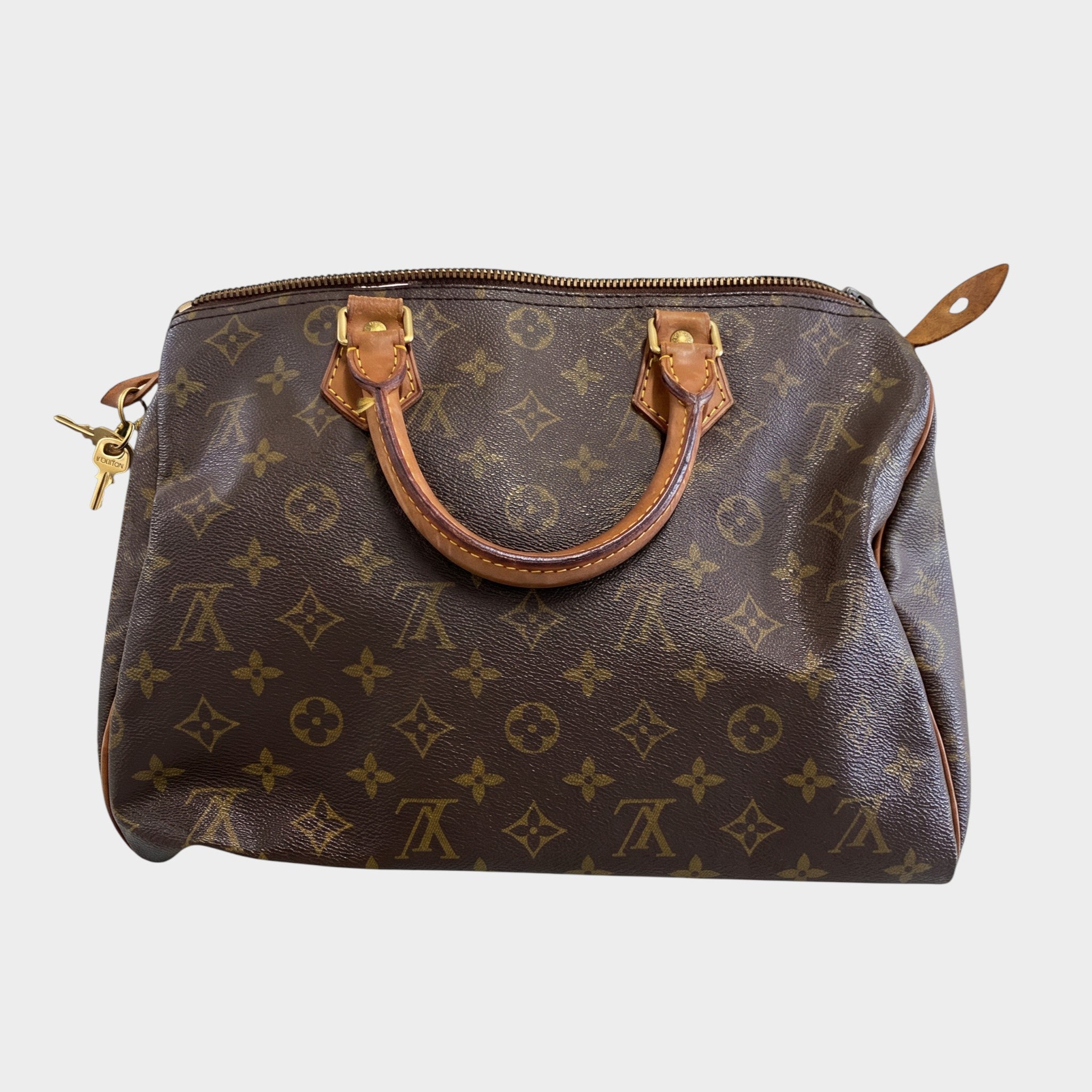LOUIS VUITTON Louis Vuitton Monogram Speedy Handbag