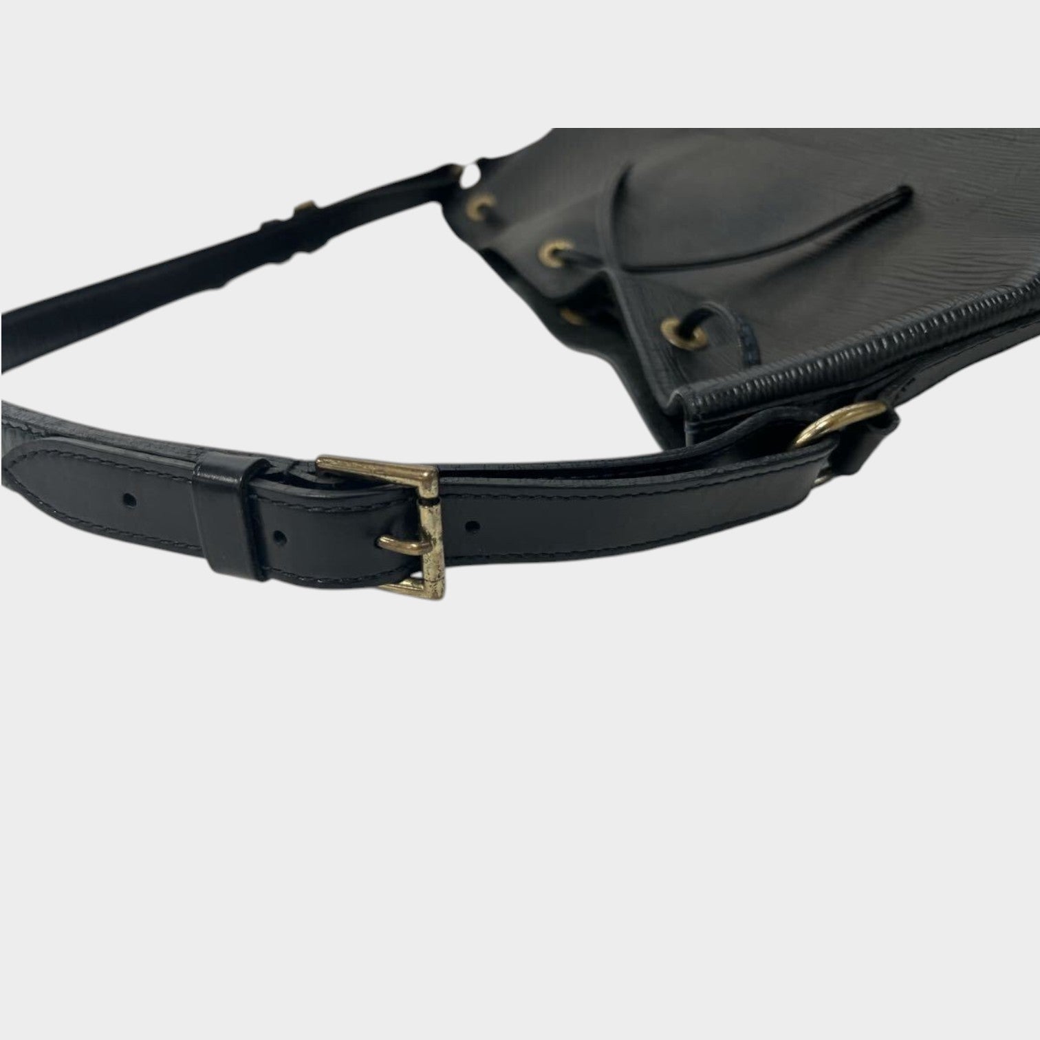 Louis Vuitton Epi Noe