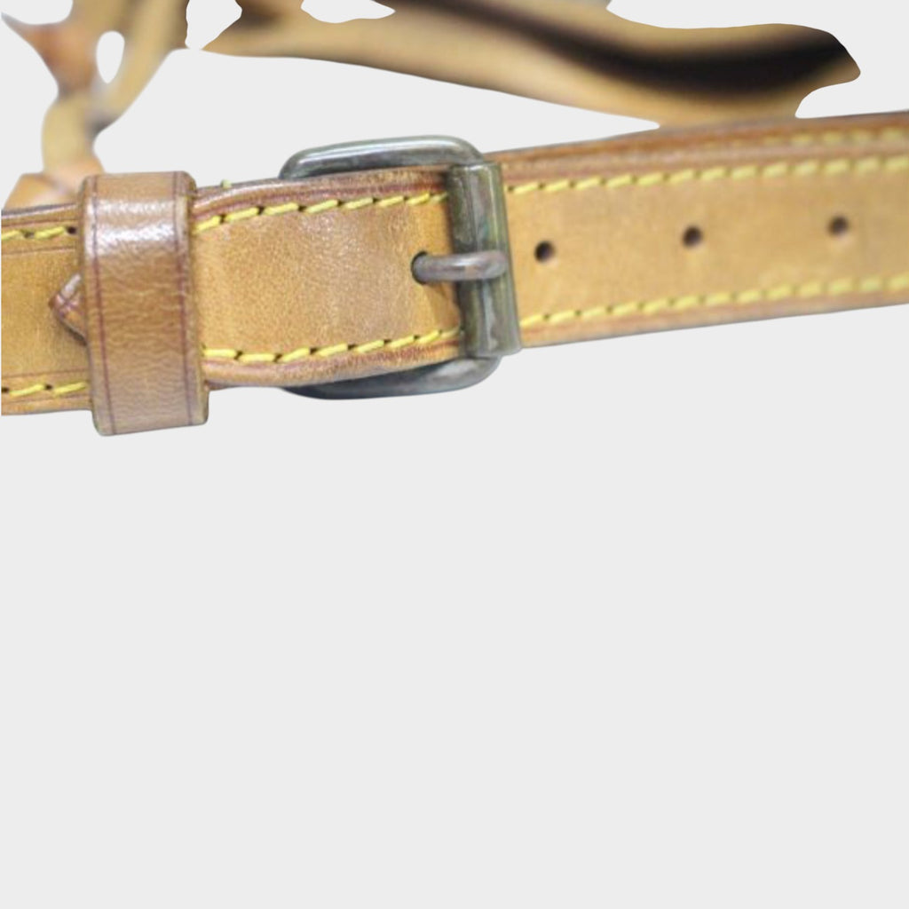 Louis Vuitton Petit Noe Monogram Shoulder Bag
