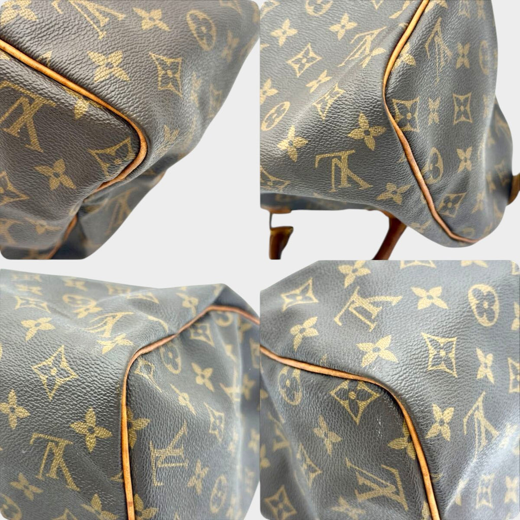 LOUIS VUITTON LV Monogram Speedy 30 M41526 Handbag