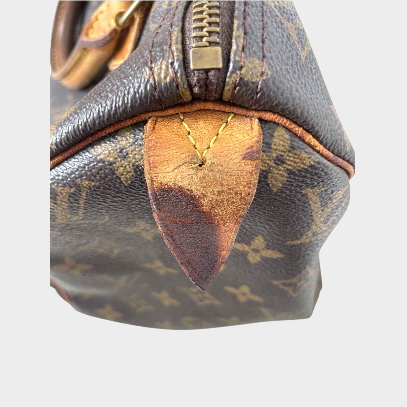 LOUIS VUITTON Speedy 30